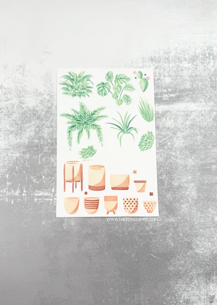 ชุดแม่พิมพ์ตัดโลหะลายเต่าทะเลฤ - Summer Clothing Release บทวิจารณ์และราคา